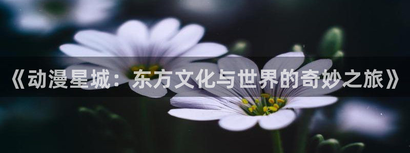 漫蛙X：《动漫星城：东方文化与世界的奇妙之旅》配图