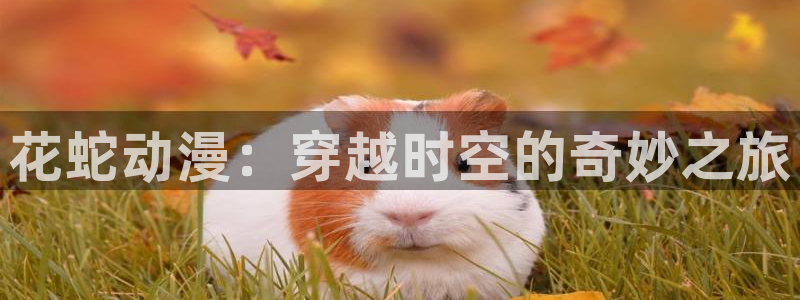 漫蛙:花蛇动漫:穿越时空的奇妙之旅配图