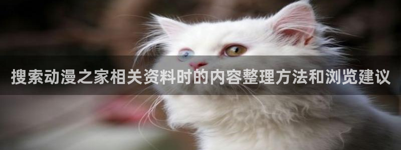 看漫蛙：搜索动漫之家相关资料时的内容整理方法和浏览建议配图