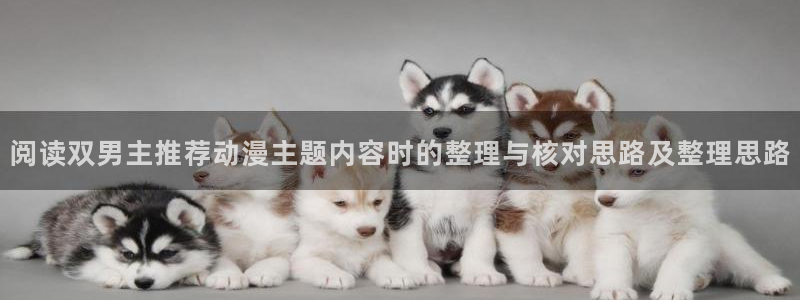 漫蛙中:阅读双男主推荐动漫主题内容时的整理与核对思路及整理思路配图