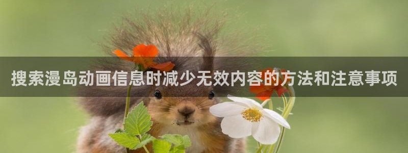 歪蛙漫:搜索漫岛动画信息时减少无效内容的方法和注意事项配图